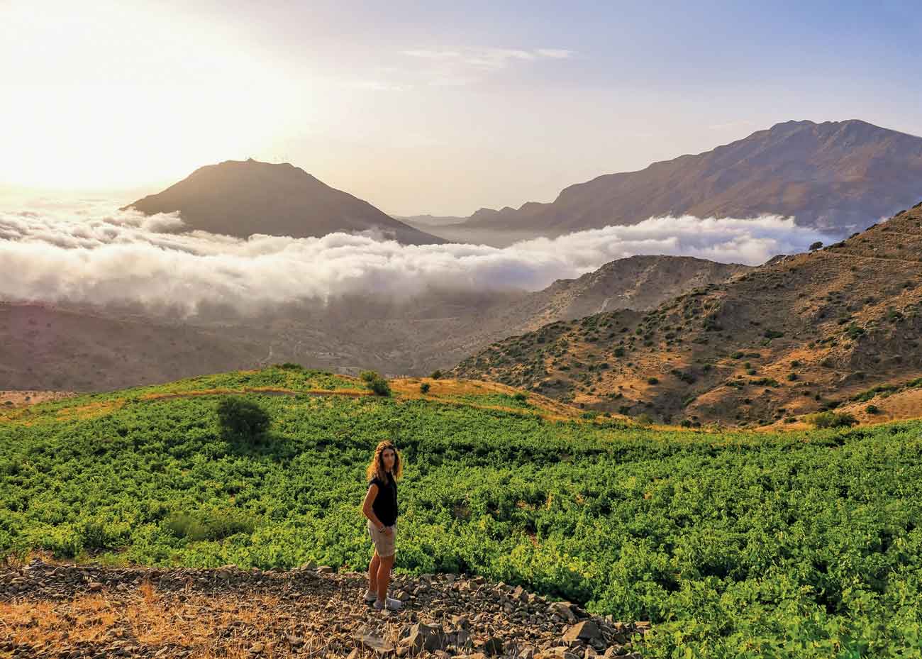 Iliana Malihin in vineyard