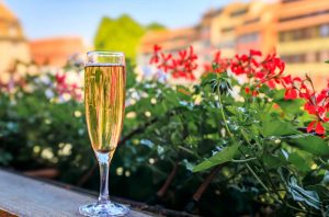 Glass of sparkling wine on window sill with plants in background