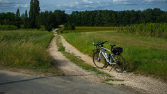 Chemin de campagne