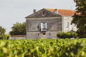 Vineyards near Bordeaux