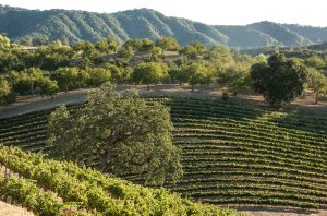 Paso Robles Willow Creek District