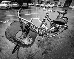 Wine glass in bike basket - Ljubljana, Slovenia