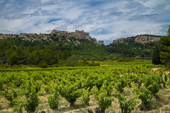 view of Les Baux from the vineyard of Mas Sainte Berthe NZ5_6590