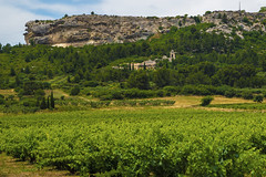 vineyard and cliff NZ5_6591