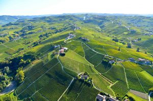 Asti DOCG's Moscato territory