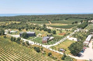 Croatian wine vineyards seen from the air