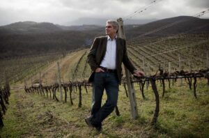 A winemaker in a vineyard