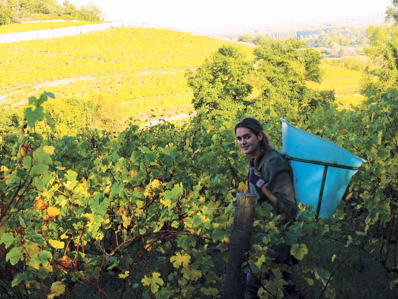 Virginie Joly in vineyard