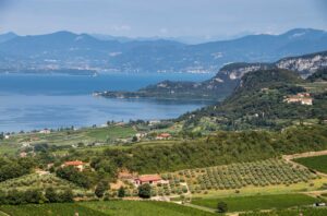 Vineyards on the shores of Lake Garda in the Bardolino region