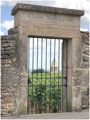 Fixin 1er cru Clos Napoléon