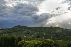 Langhe01