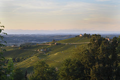 Langhe02