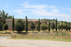 Montalcino: Weingut Valdicava