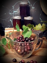 Muscadine Jelly