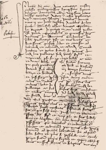 Tenuta Carretta's sharecropper concession document from 1467 (image: Tenuta Carretta )