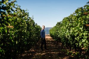 A winemaker standing in a sunny vineyard