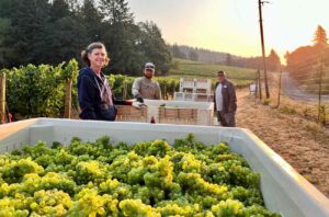 image of harvest workers in Pacific Northwest 2024