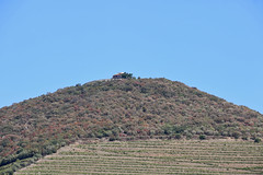 Pico das Monteiras - Ervedosa do Douro - São João da Pesqueira