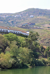 Quinta do Tedo - Vila Seca - Armamar