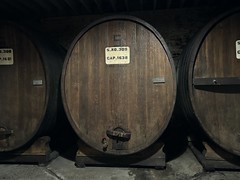 Retired wine barrels