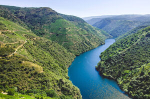 Vineyards on the banks of the Sil River, Ribeira Sacra, Galicia