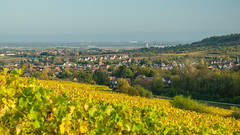 Rosheim depuis les vignes