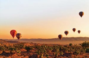 Balloons fly over vineyards in Cappadocia, a region in central Turkey