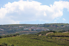 Valença do Douro - Tabuaço