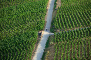 Côte-Rôtie Gallet