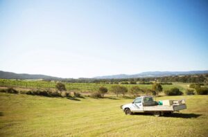 Shiraz Central vineyards with utility truck