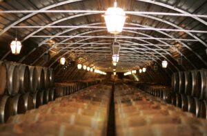 Wine barrels in a cellar