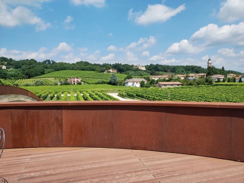 Giusti vineyard view