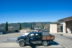 2023 Harvest at Sandeman