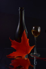 Autumn Wine