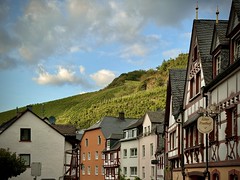 Bernkastel with vineyard