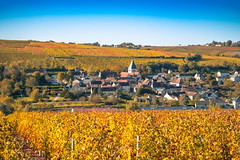 French village among the autumnal grapevines