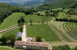 Tinazzi winery and vineyards in the comune of Sant’Ambrogio di Valpolicella