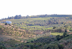 Quinta de Santo António - Adorigo - Tabuaço