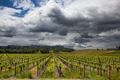 Russian River Valley