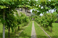 Santa Maria In Valle Monastery [Cividale Del Friuli - 9 June 2024]