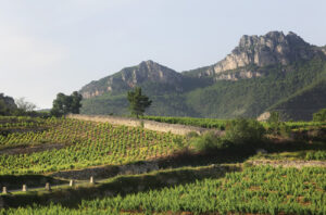 Domaine du Pas de l’Escalette, Terrasses du Larzac