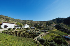 The landscape of Douro