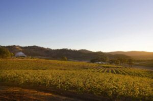 Shiraz Central - winery in the Pyrenees in Victoria, Australia