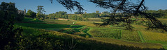 Vue sur combe à Saint-Émilion - 6 pics Panorama