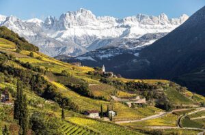 Vineyards in the Alto Adige DOC winemaking region in Italy.