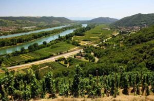 Rhone Valley