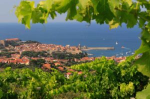 Collioure