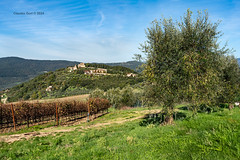 Autunno a Nipozzano