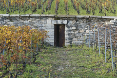 Entrée du vignoble