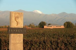 Finca Sophenia: Innovation and quality from Gualtallary